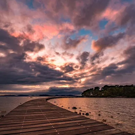 Jakov * شيبينيك